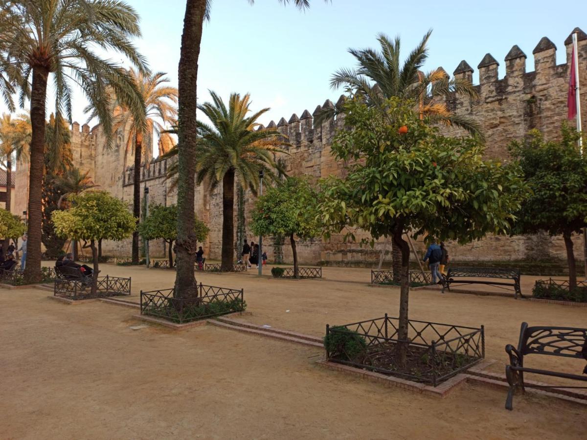Y Emoción: Céntrico Con Wi-fi Cerca De La Catedral * Còrdova
