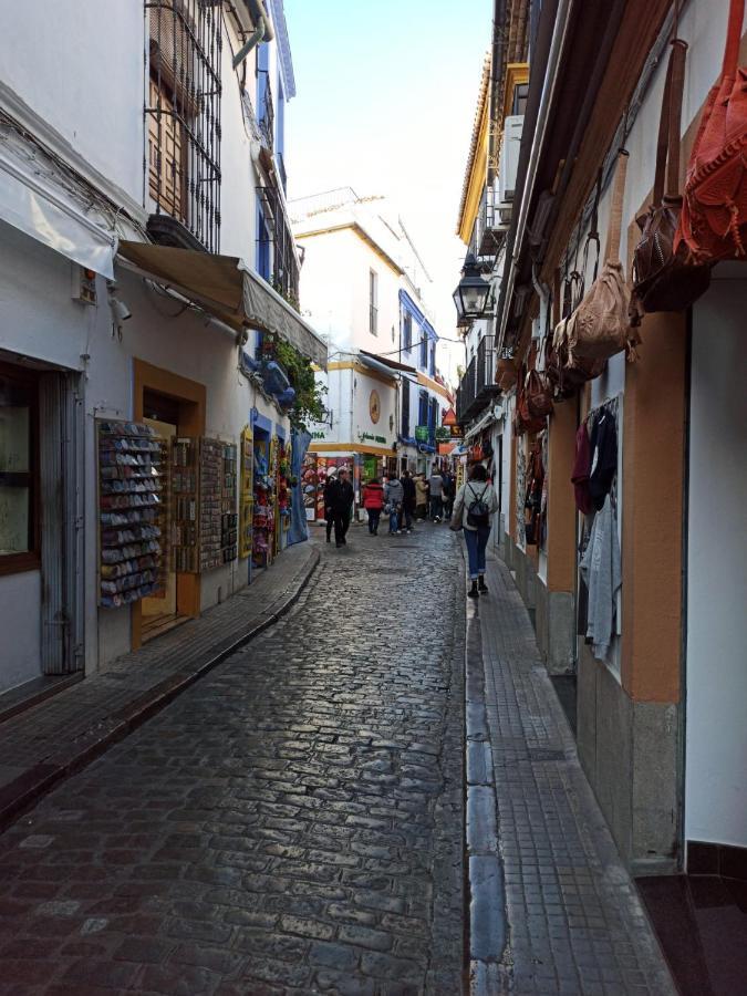 Y Emoción: Céntrico Con Wi-fi Cerca De La Catedral Apartment