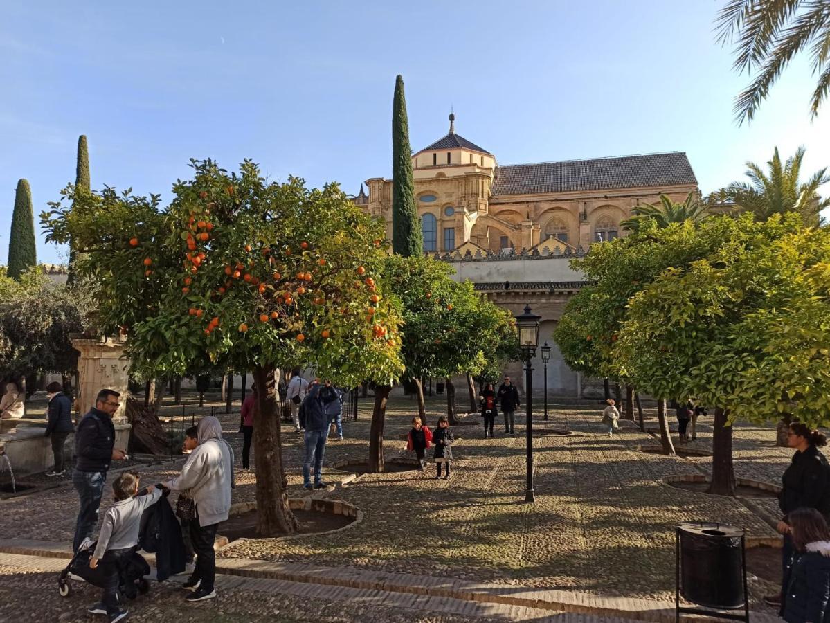 Y Emoción: Céntrico Con Wi-fi Cerca De La Catedral Cordoba