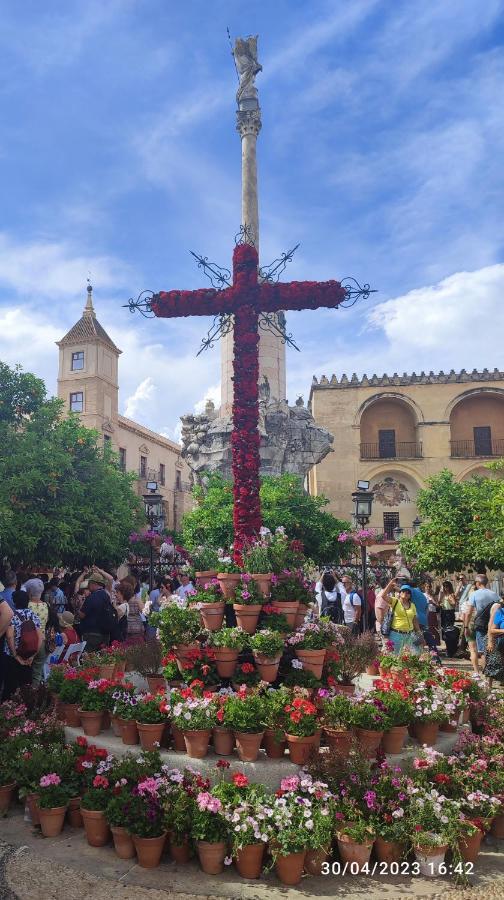 Y Emoción: Céntrico Con Wi-fi Cerca De La Catedral *